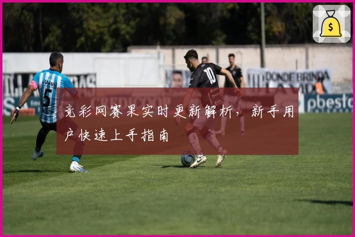 竞彩网赛果实时更新解析，新手用户快速上手指南