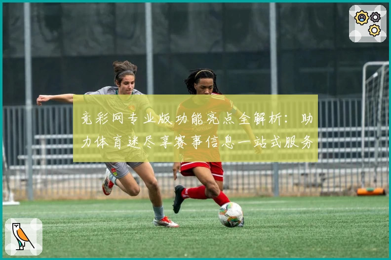 竞彩网专业版功能亮点全解析：助力体育迷尽享赛事信息一站式服务