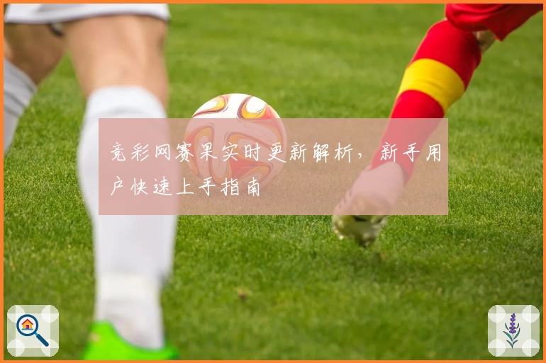 竞彩网赛果实时更新解析，新手用户快速上手指南